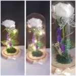 Cúpula de cristal con rosa blanca, lavanda y luces LED