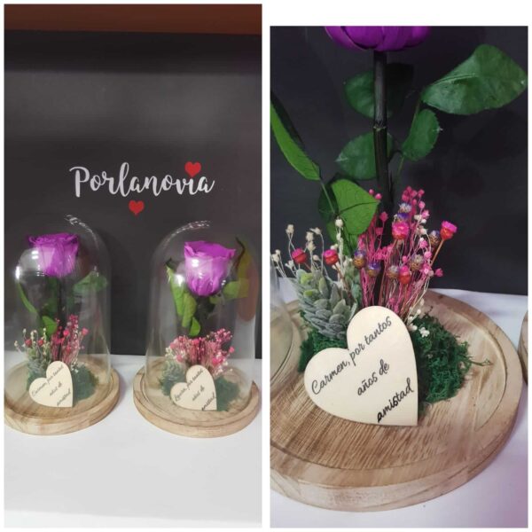Cúpulas de cristal personalizadas