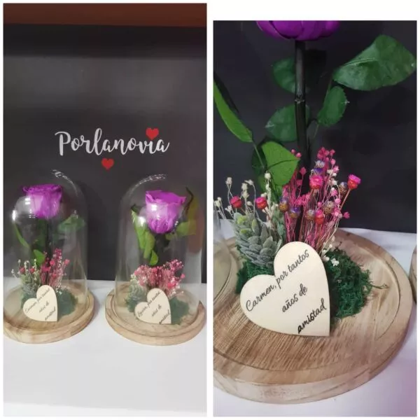 Cúpulas de cristal personalizadas