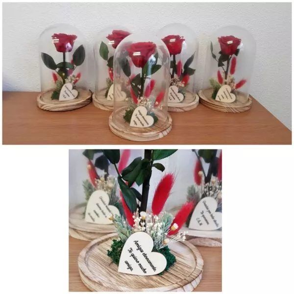 Cupula de cristal con rosa preservada