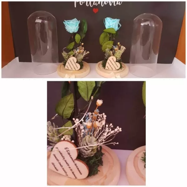 Cupula de cristal con rosa preservada