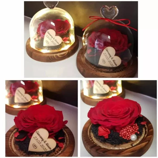 Cupula de cristal con rosa preservada