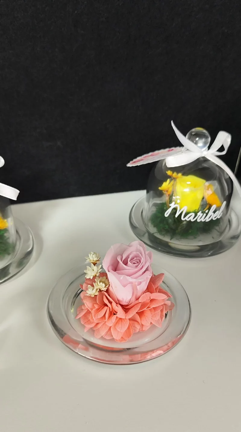 Mini cúpula de cristal con rosa preservada y nombre personalizado en vinilo